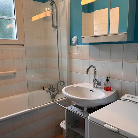 דירה Duplex Avec Vue Sur Le De Gerardme *