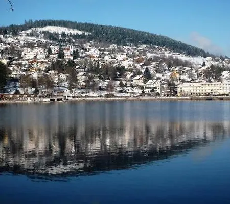 Duplex Avec Vue Sur Le De Gerardme * Gérardmer