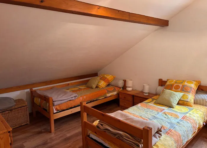 Duplex Avec Vue Sur Le De Gerardme Apartamento *