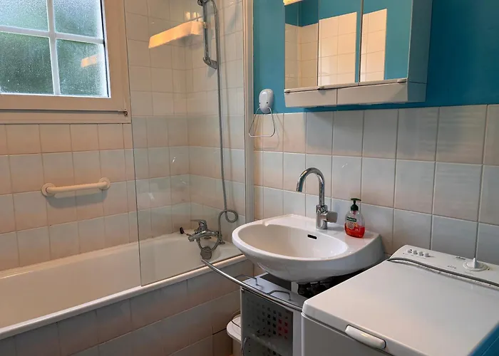 Apartamento Duplex Avec Vue Sur Le De Gerardme *